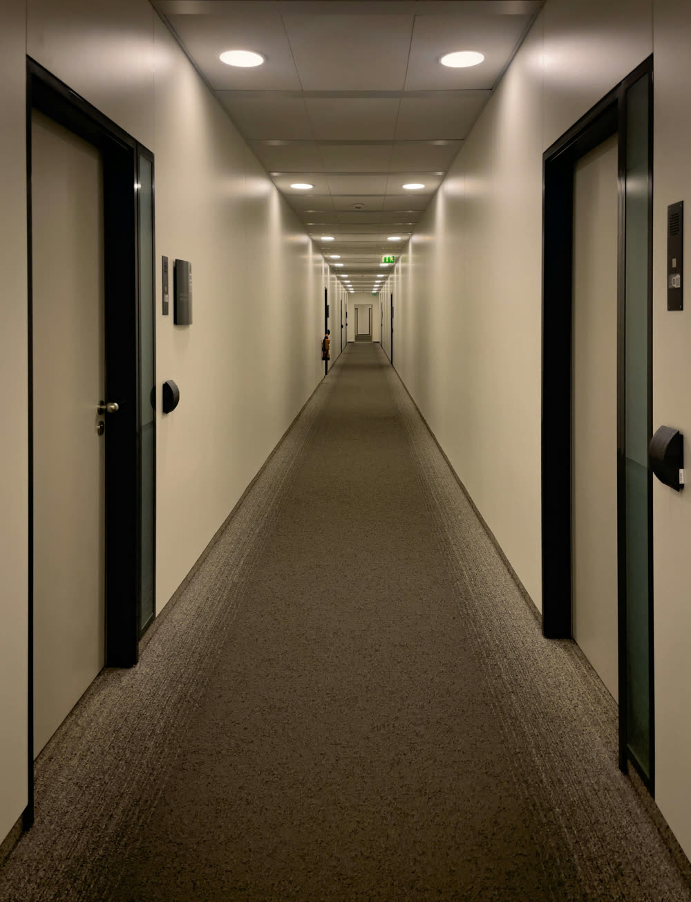 Long corridor lined with flush doors